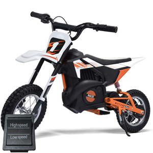 Replacement High/Low Switch for 24v 250W Chain Driven Dirt Bike